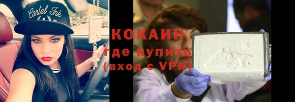 дживик Краснослободск