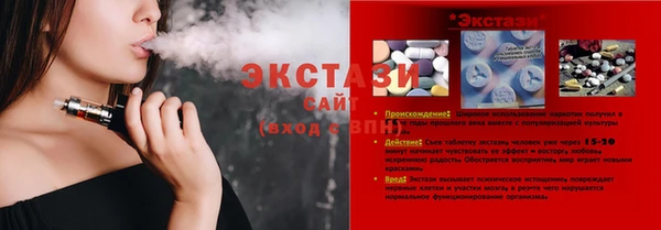 дживик Краснослободск