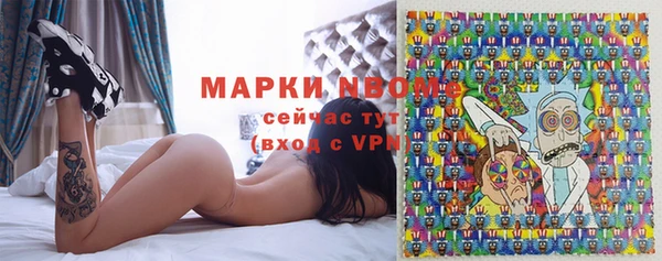 дживик Краснослободск