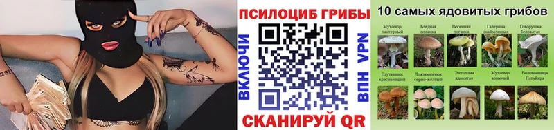 Псилоцибиновые грибы ЛСД  Калининград 