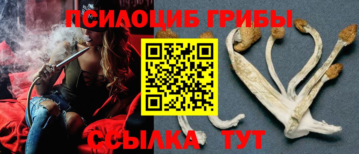 Псилоцибиновые грибы Magic Shrooms Калининград