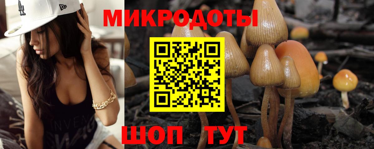 Галлюциногенные грибы Psilocybine cubensis  Псилоцибиновые грибы Psilocybine cubensis  Вход с VPN  Калининград 