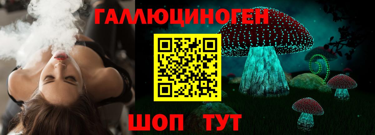 наркотики  Галлюциногенные грибы Magic Shrooms  Калининград  Галлюциногенные грибы Psilocybe 